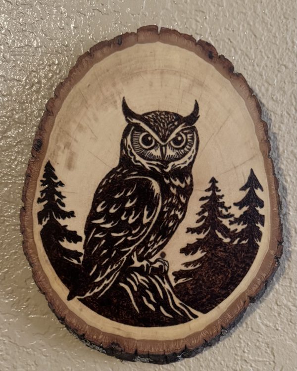 Owl