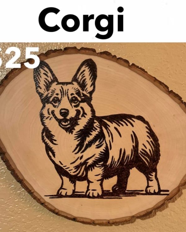 Corgi