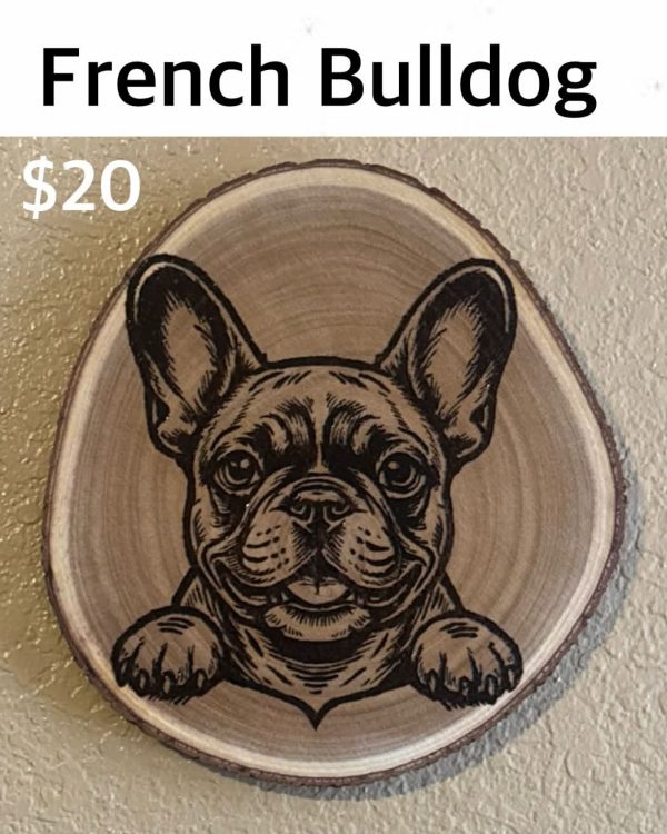 French Bulldog-2